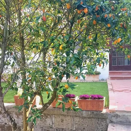 Le Miro Apartment Sorrento