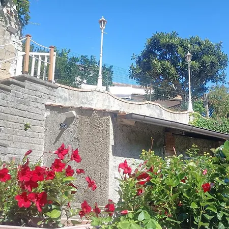 Le Miro