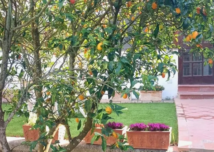 Le Miro Apartmán Sorrento